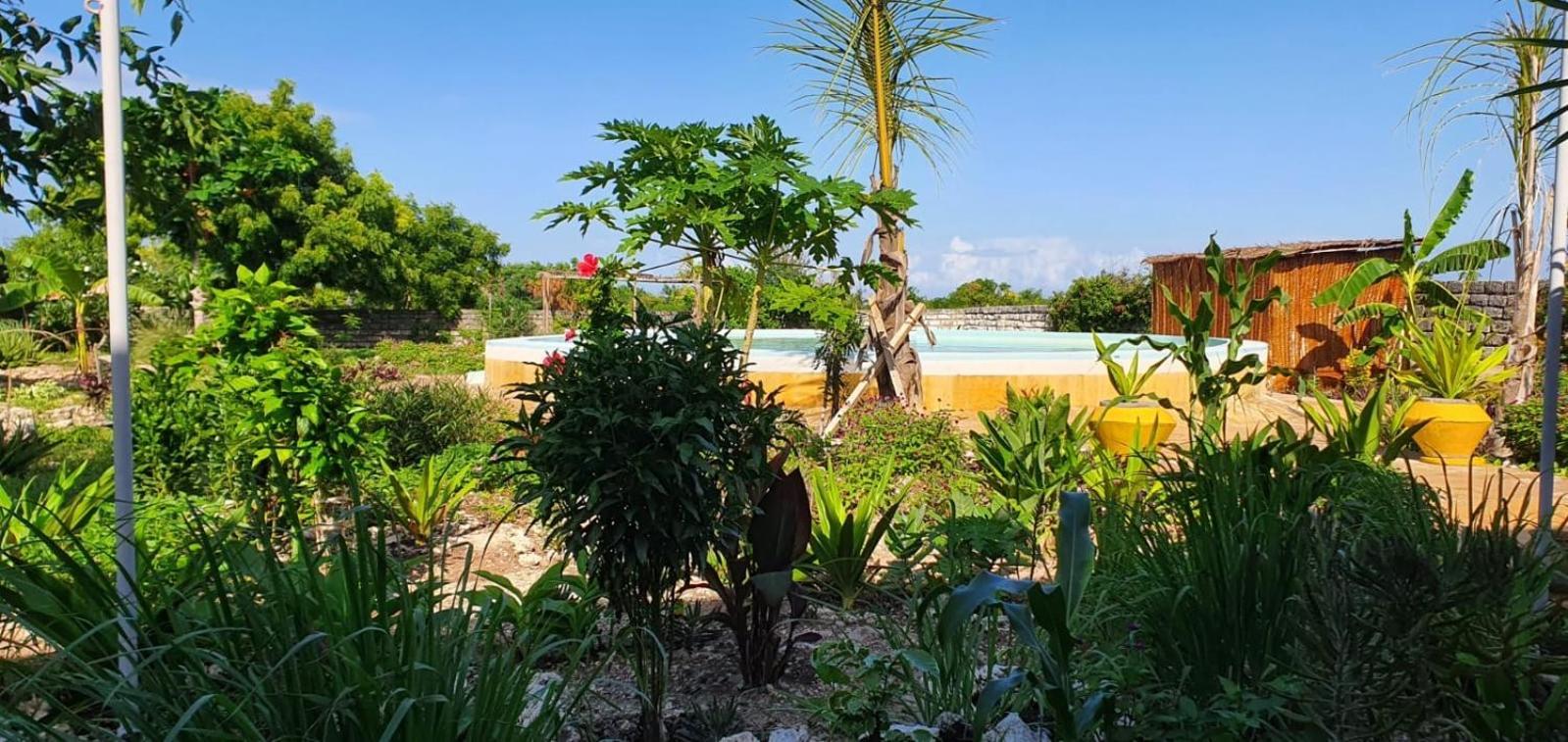 Matemwe Ocean View Villas 외부 사진